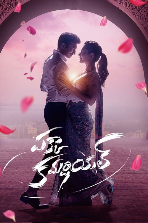 Pakka Commercial Af Somali Af Somali